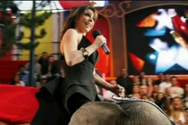 Accidente de Verónica Castro: Las secuelas que sufre tras caída de elefante