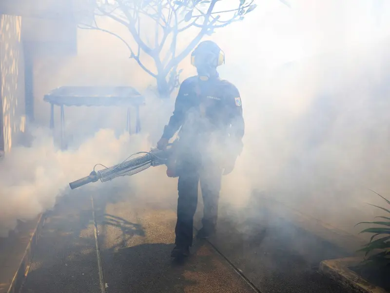 En Europa, aumentan casos de dengue y de enfermedades transmitidas por mosquitos
