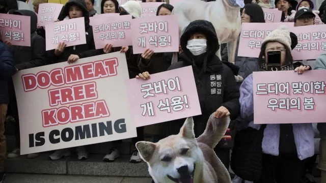 Concluye plazo para cierre de criaderos de carne de perro en Corea del Sur; productores protestan