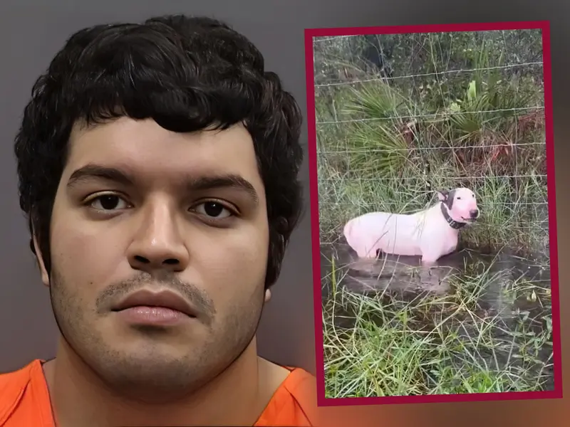 Arrestan al hombre que amarró y abandonó a un perro durante el huracán “Milton”