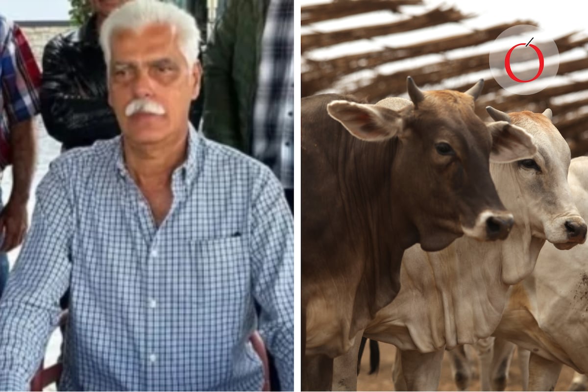 Líder ganadero de Colima es ejecutado en un nuevo golpe al crimen organizado